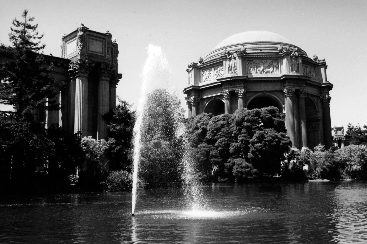 B&W Film Developing and Scanning (B&W)