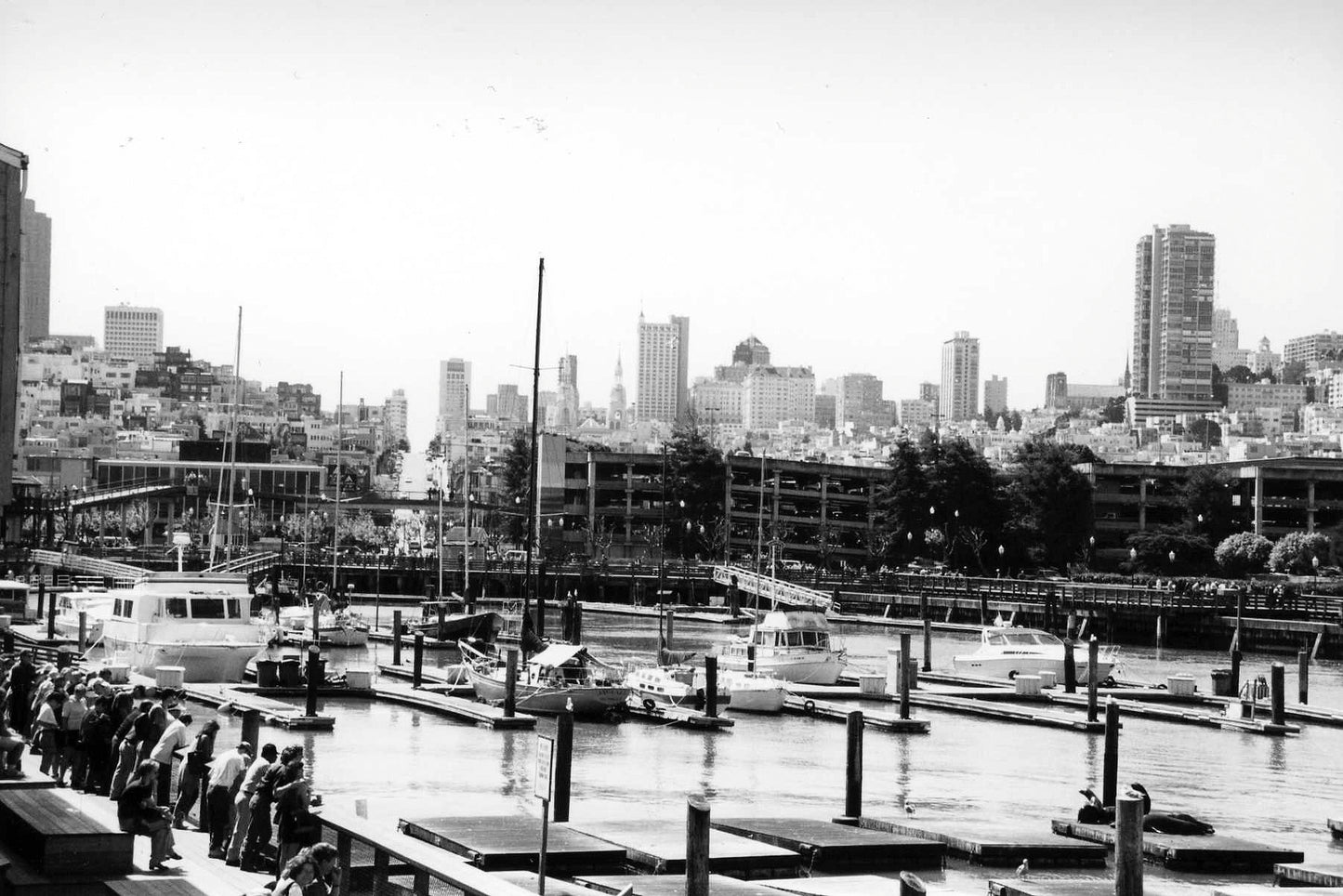 B&W Film Developing and Scanning (B&W)