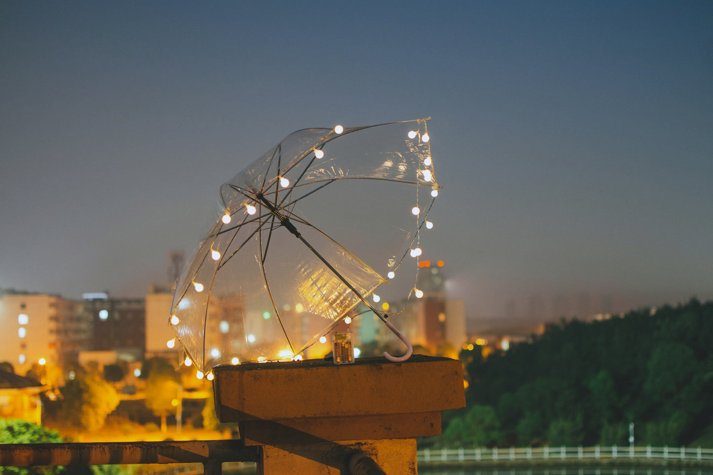 Developing only (No scans, No prints)